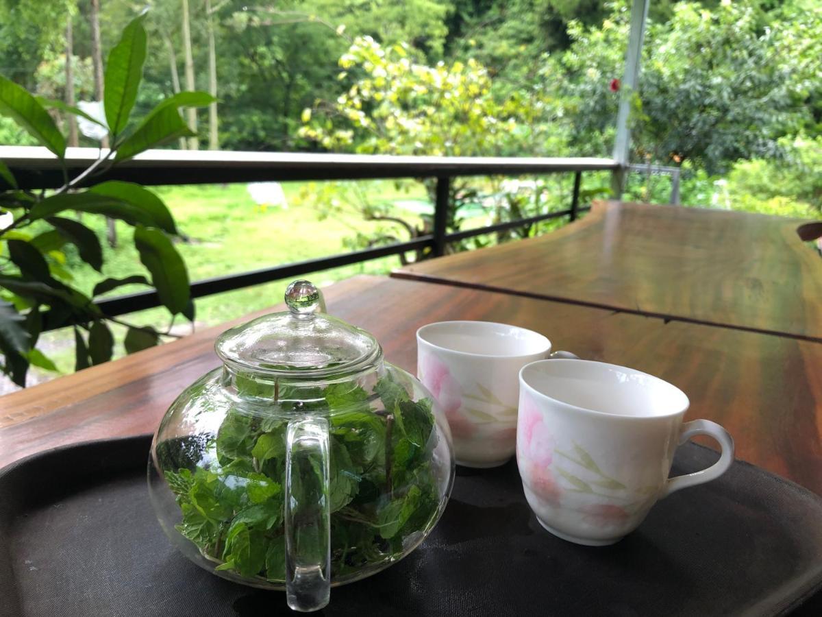 Cat Ba Love House Xuan Dam المظهر الخارجي الصورة
